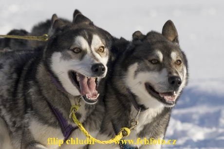 Decinsky sneznik 05 - 157.jpg